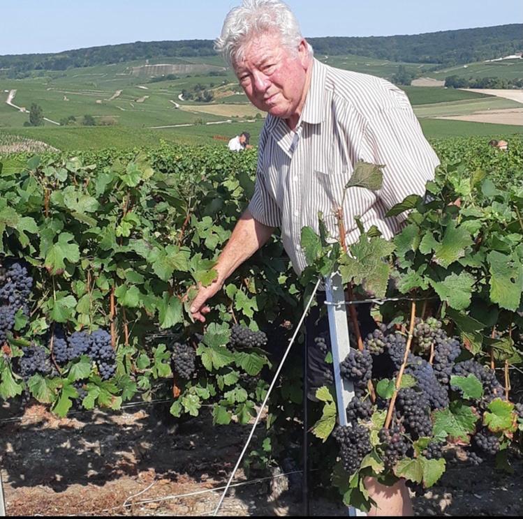 Floressens En Champagne Terrasse Privative Sur Le Vignoble Villa Fleury-la-Riviere Exterior foto