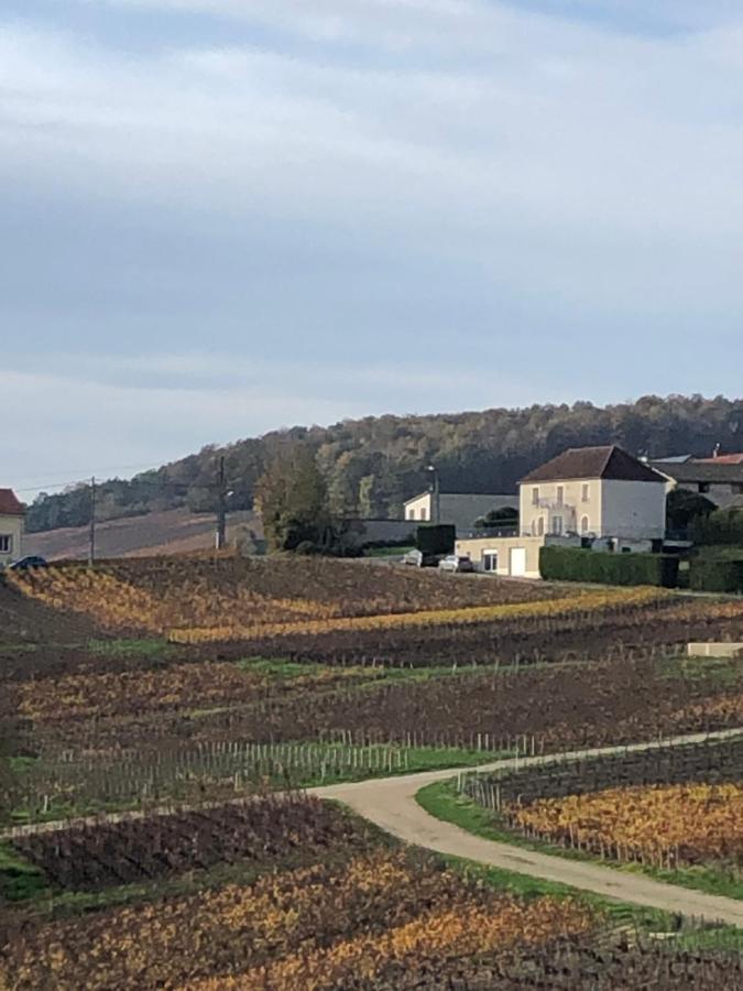 Floressens En Champagne Terrasse Privative Sur Le Vignoble Villa Fleury-la-Riviere Exterior foto