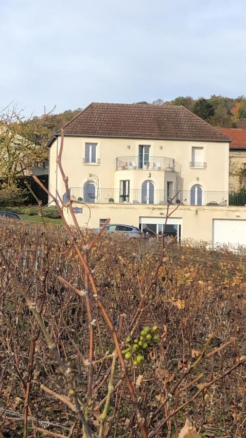 Floressens En Champagne Terrasse Privative Sur Le Vignoble Villa Fleury-la-Riviere Exterior foto