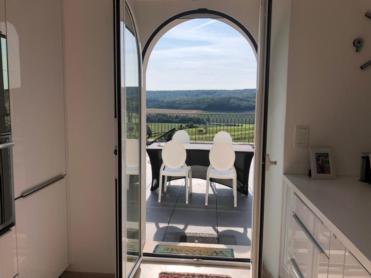 Floressens En Champagne Terrasse Privative Sur Le Vignoble Villa Fleury-la-Riviere Exterior foto