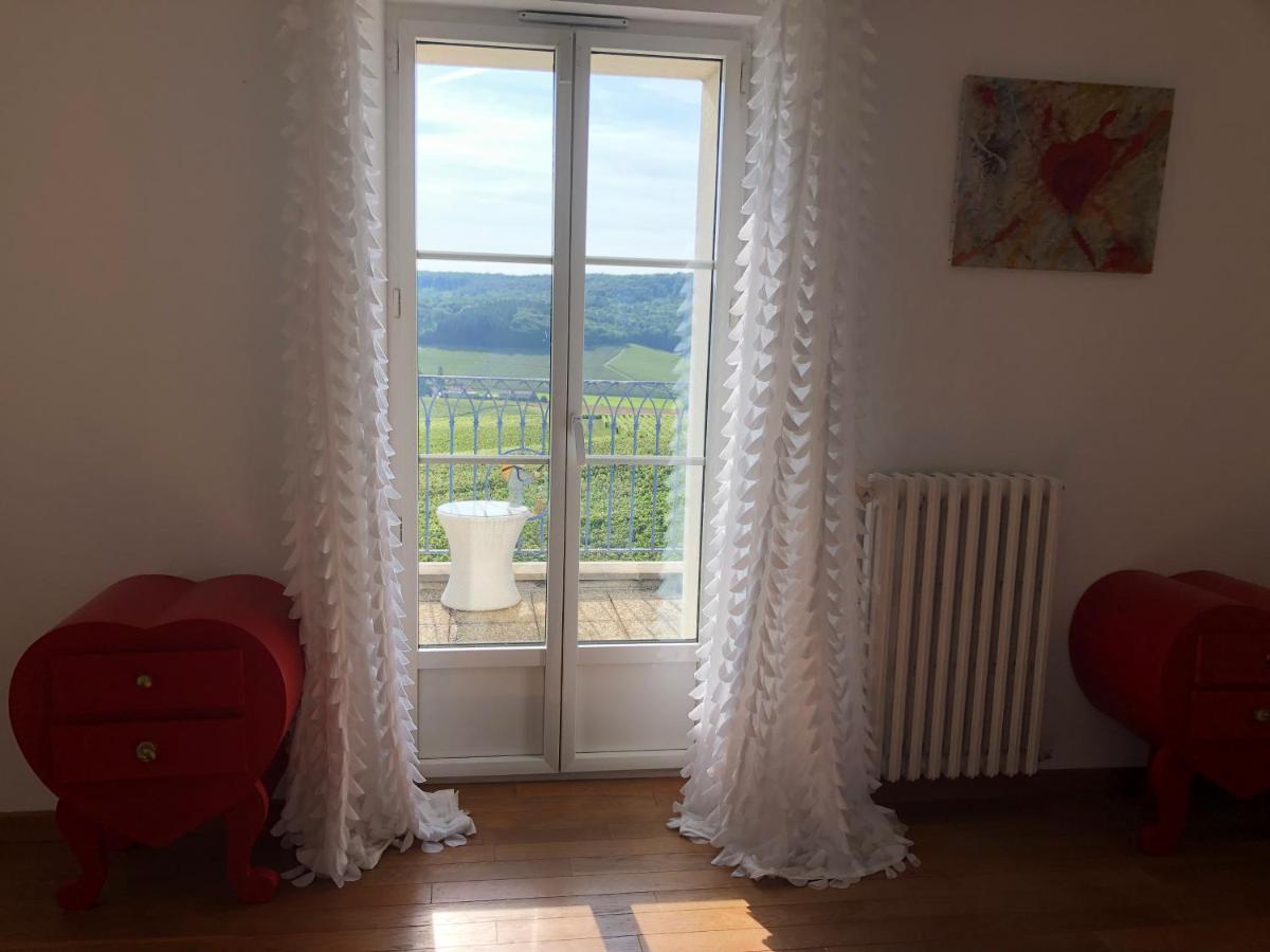 Floressens En Champagne Terrasse Privative Sur Le Vignoble Villa Fleury-la-Riviere Exterior foto