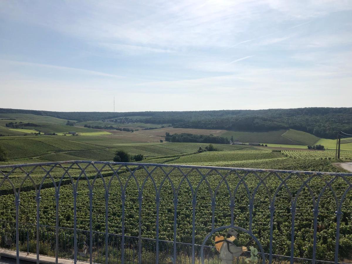 Floressens En Champagne Terrasse Privative Sur Le Vignoble Villa Fleury-la-Riviere Exterior foto