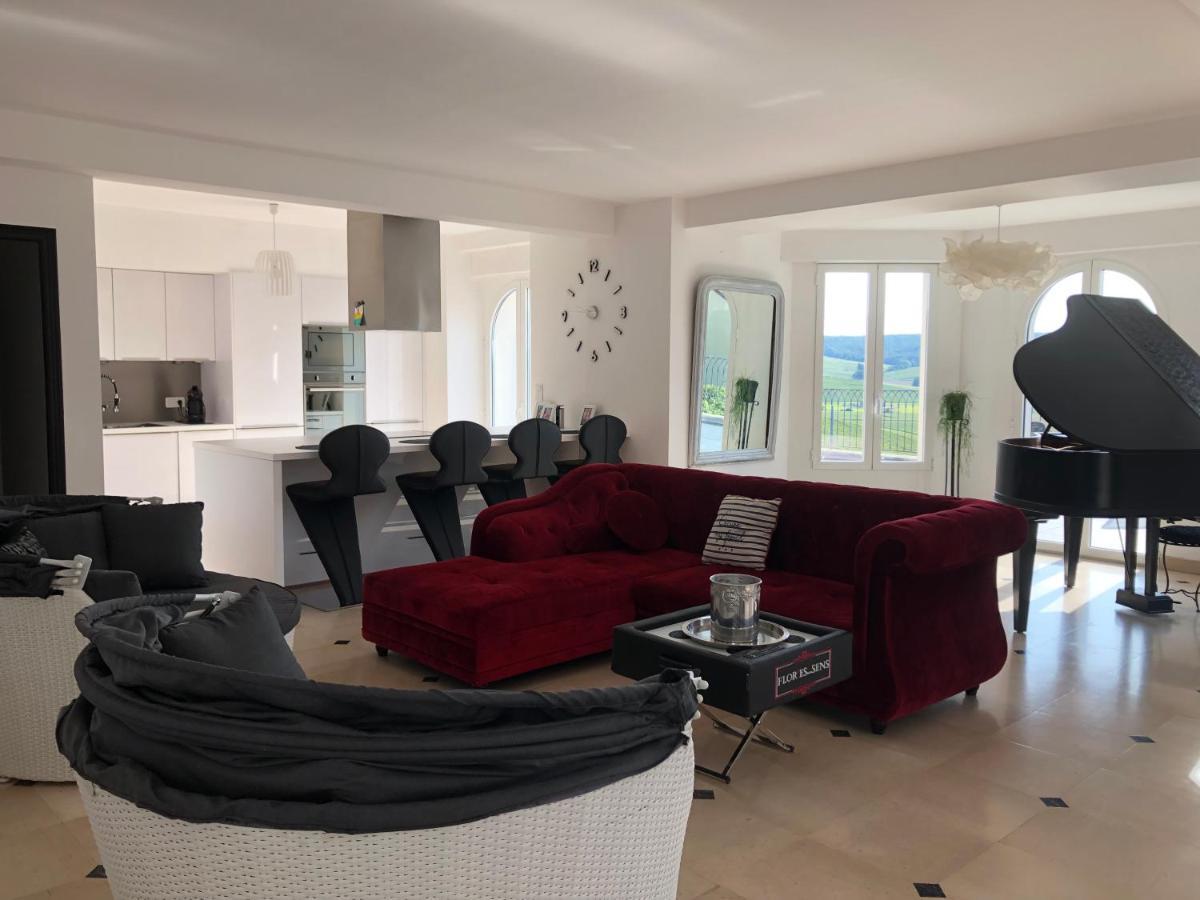 Floressens En Champagne Terrasse Privative Sur Le Vignoble Villa Fleury-la-Riviere Exterior foto