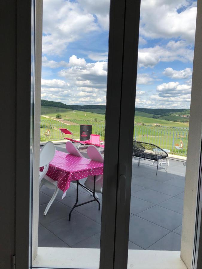 Floressens En Champagne Terrasse Privative Sur Le Vignoble Villa Fleury-la-Riviere Exterior foto