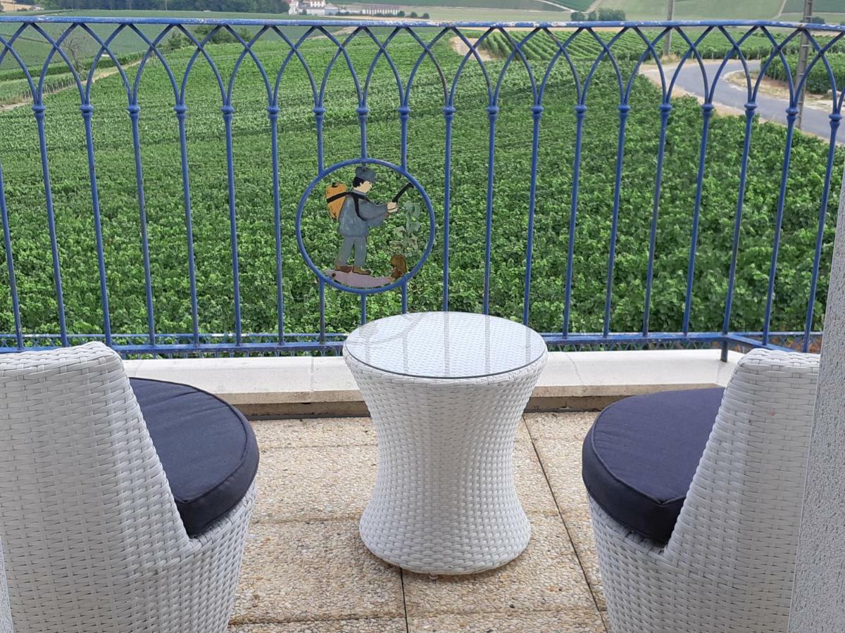 Floressens En Champagne Terrasse Privative Sur Le Vignoble Villa Fleury-la-Riviere Exterior foto